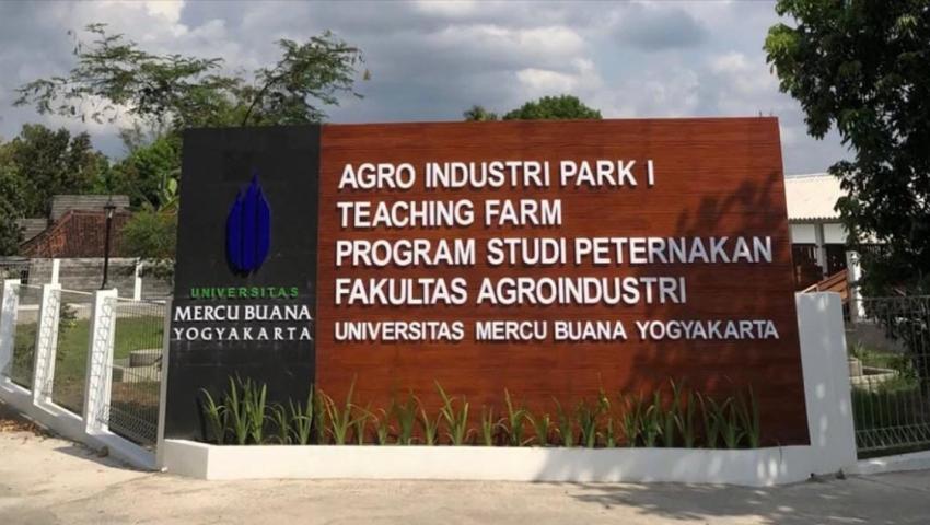 Tingkatkan Mutu Lulusan, UMBY Bangun Agroindustri Park 1 Teaching Farm Program Studi Peternakan