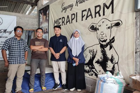 merapi farm